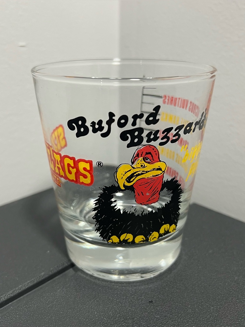 Vintage Six Flags Atlanta Amusement Park Buford Buzzards Drinking Glass Cup